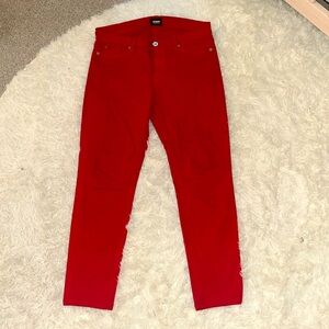 Hudson Jeans Colette Midrise Skinny jeans